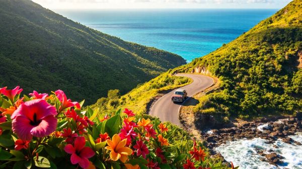 Les essentiels pour un road trip inoubliable en Guadeloupe
